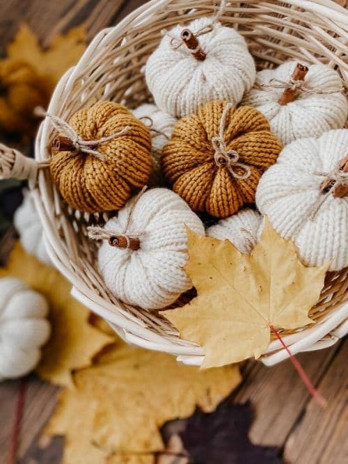 Free Pumpkin Knitting Pattern for Beginners